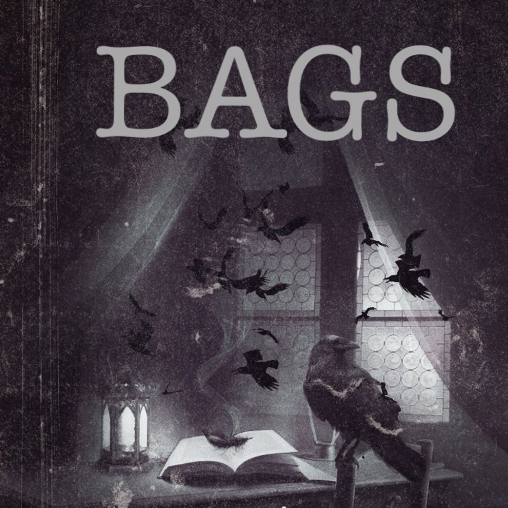 🖤 BAGS PAST HERE 🖤